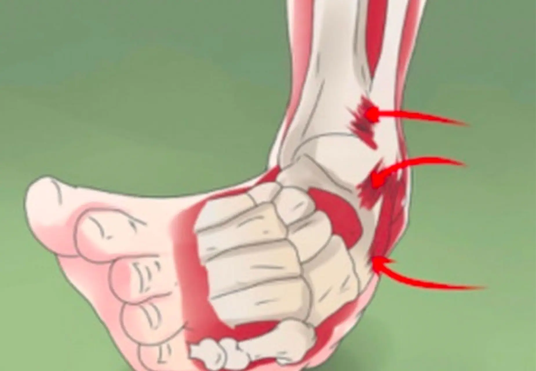 6cccb674-6e1a-474f-a1d0-37befa2c18d3